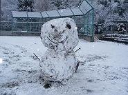 雪遊び