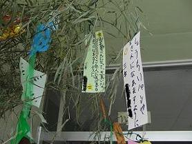 たなばた（願い事）