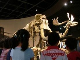 校外学習