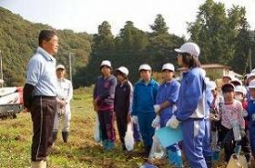 稲刈り