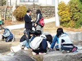 これは何の化石ですか