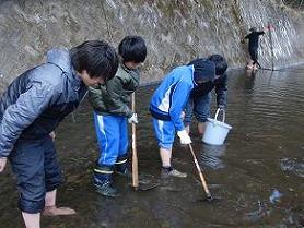 交流