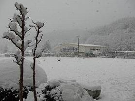 大雪