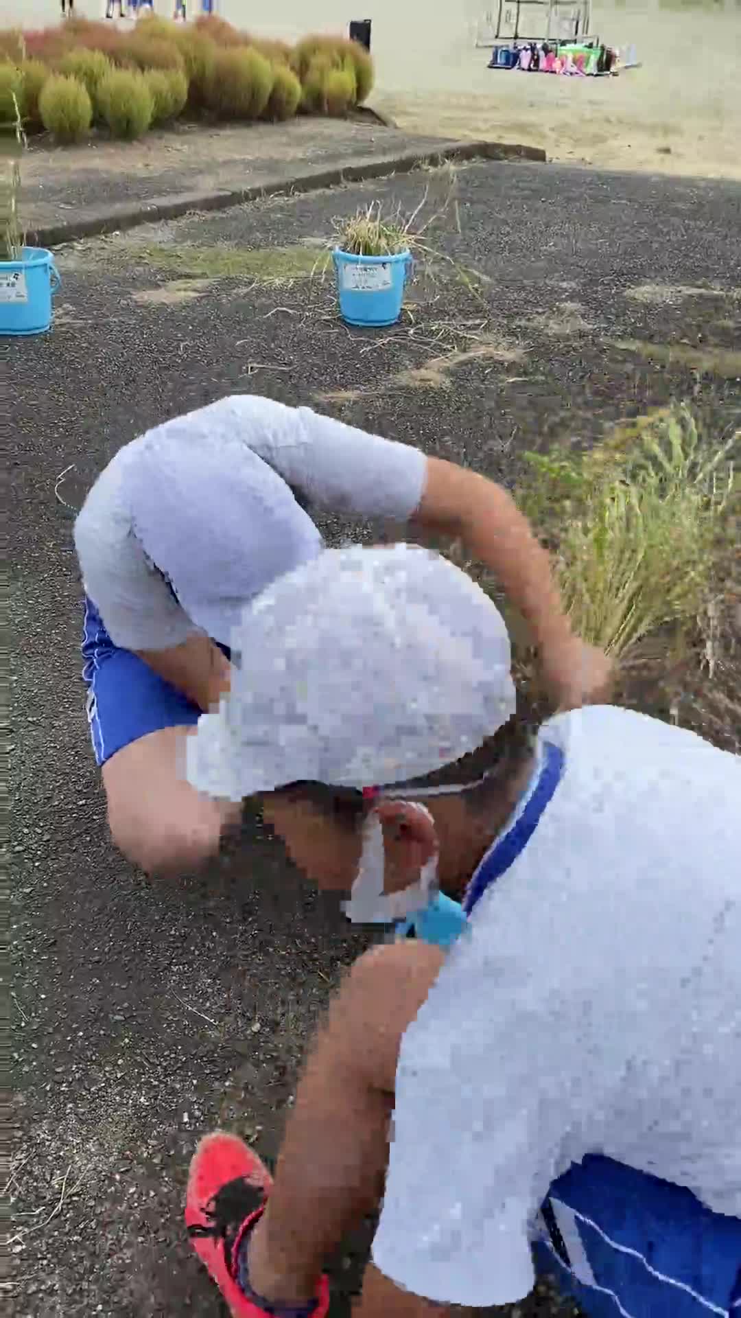 5年生稲刈りの様子です
