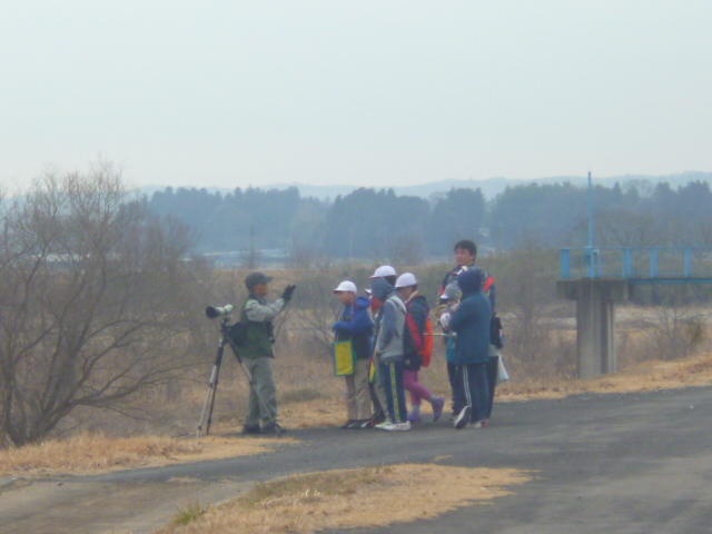 ホーム 那珂川町立小川小学校