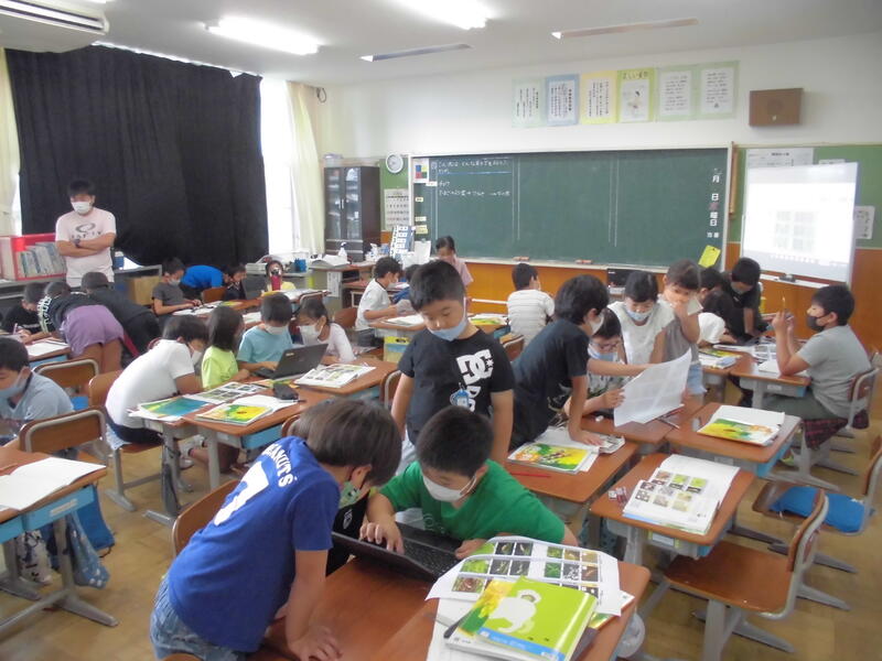 タブレットを使って調べ学習です
